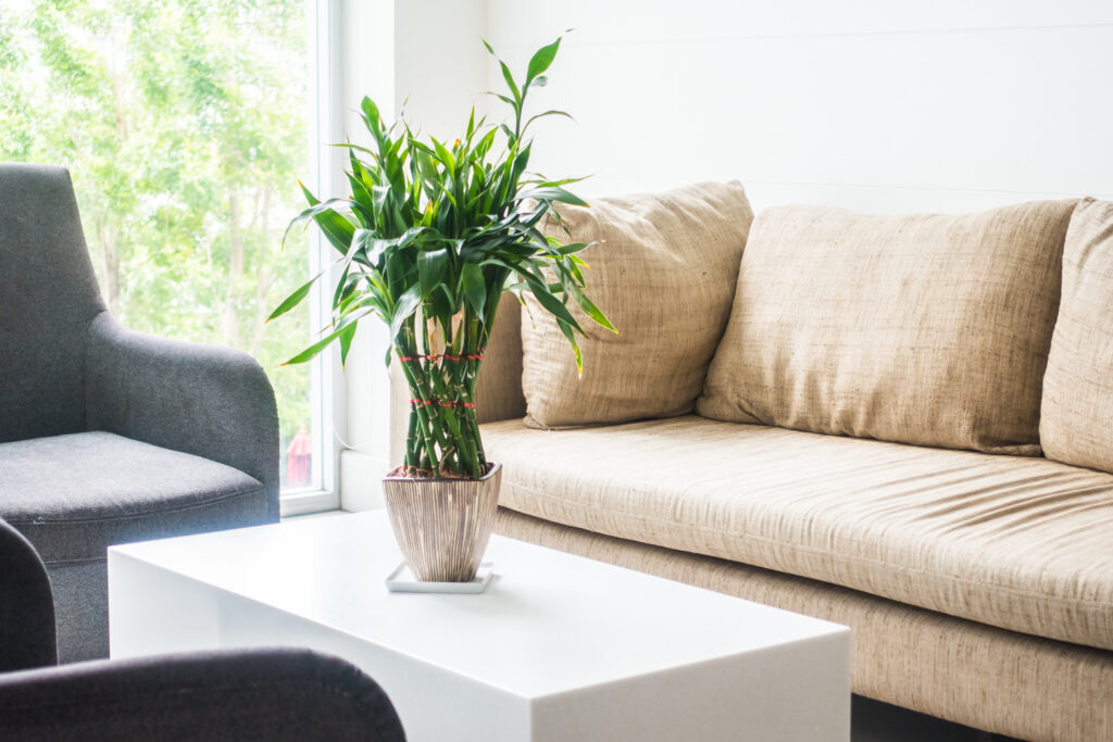 living room interior design